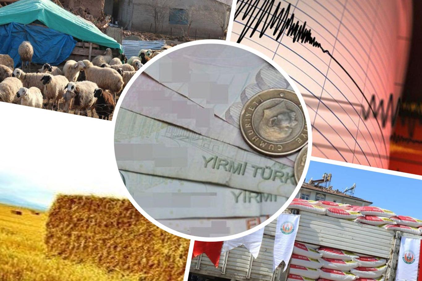 Depremzede çiftçilere hayvan bedeli ve yem yardımı yapılacak Depremzede çiftçilere hayvan bedeli ve yem yardımı yapılacak